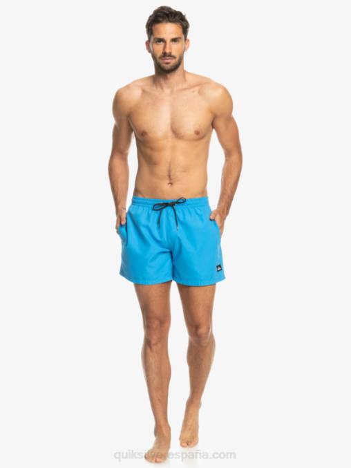 alegre todos los días 15 voleas D6T4D461 hombres Quiksilver
