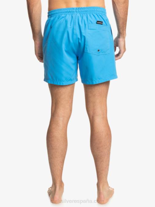 alegre todos los días 15 voleas D6T4D461 hombres Quiksilver