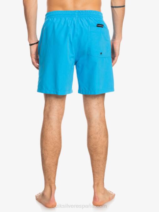 alegre todos los días 17 voleas D6T4D622 hombres Quiksilver