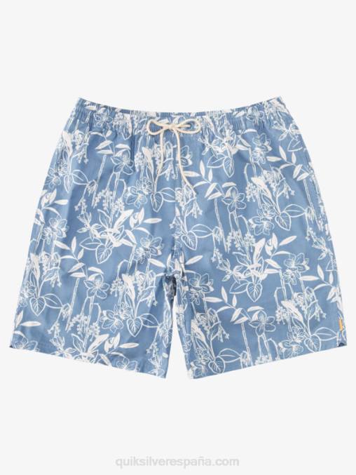 alférez azul formas sueltas vy Waterman Loose Ways 17 voleas D6T4D940 hombres Quiksilver