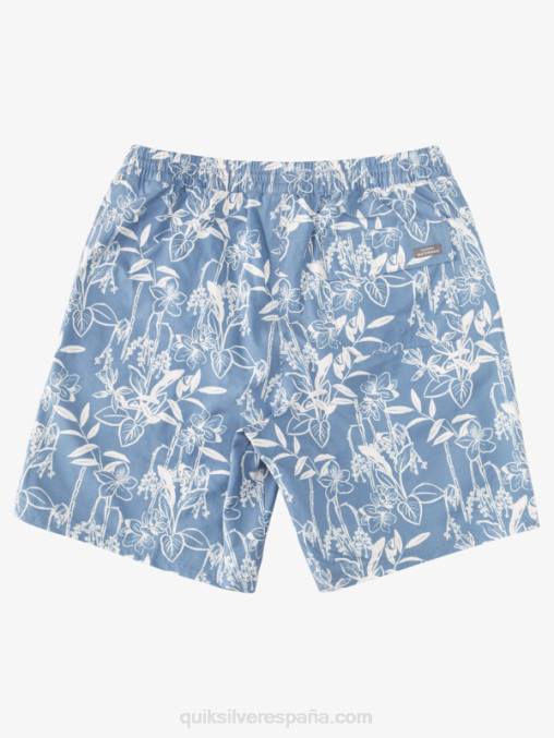 alférez azul formas sueltas vy Waterman Loose Ways 17 voleas D6T4D940 hombres Quiksilver