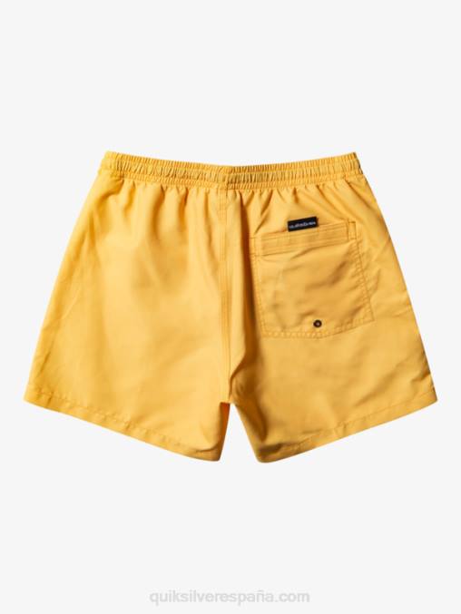 amarillo yema todos los días 15 voleas D6T4D462 hombres Quiksilver