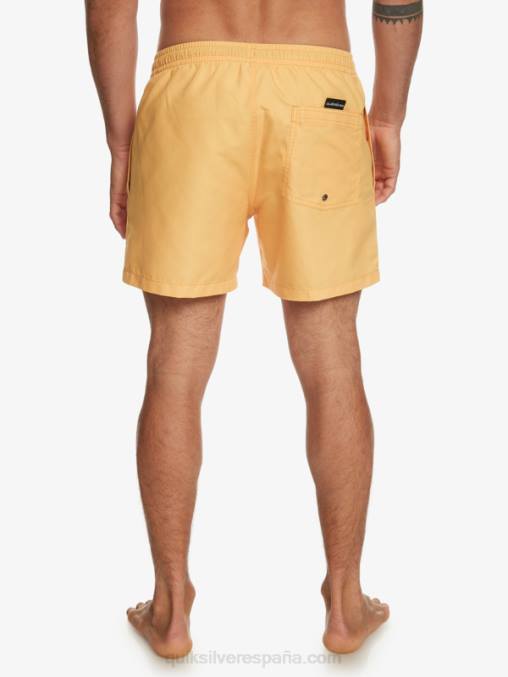amarillo yema todos los días 15 voleas D6T4D462 hombres Quiksilver