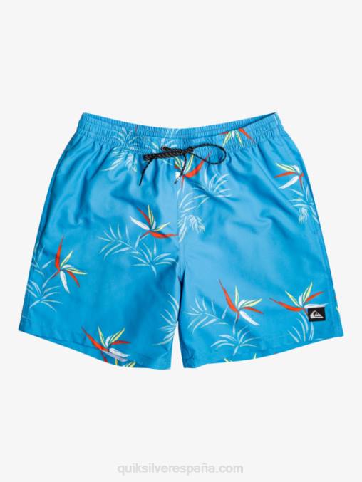 azul celeste mezcla todos los días 17 voleas D6T4D674 hombres Quiksilver