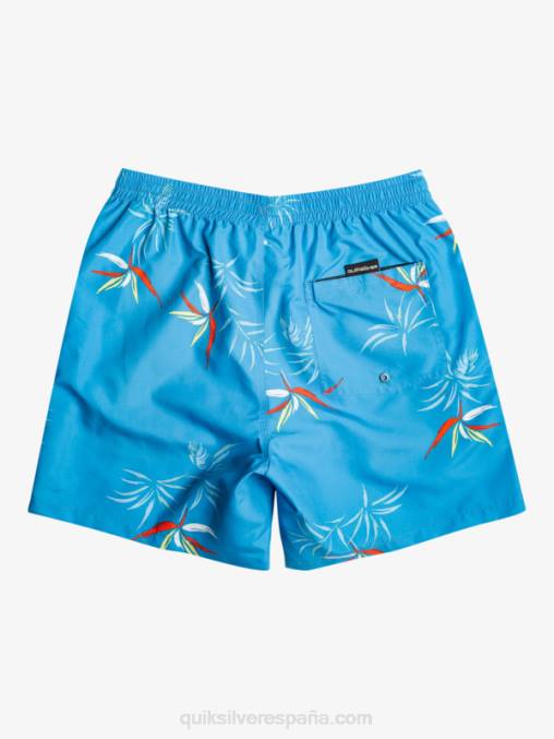 azul celeste mezcla todos los días 17 voleas D6T4D674 hombres Quiksilver