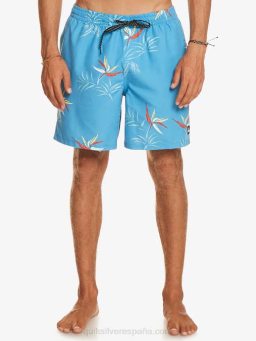 azul celeste mezcla todos los días 17 voleas D6T4D674 hombres Quiksilver