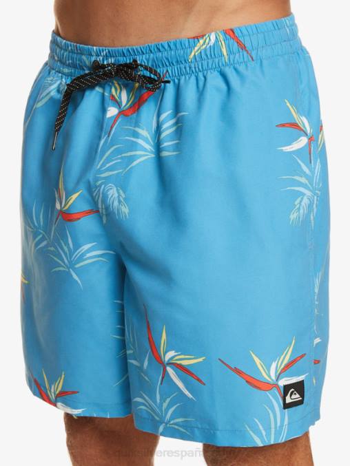 azul celeste mezcla todos los días 17 voleas D6T4D674 hombres Quiksilver