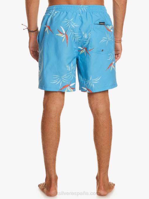 azul celeste mezcla todos los días 17 voleas D6T4D674 hombres Quiksilver