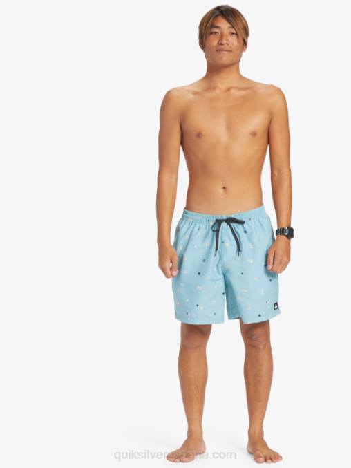 azul celeste mezcla todos los días 17 voleas D6T4D680 hombres Quiksilver