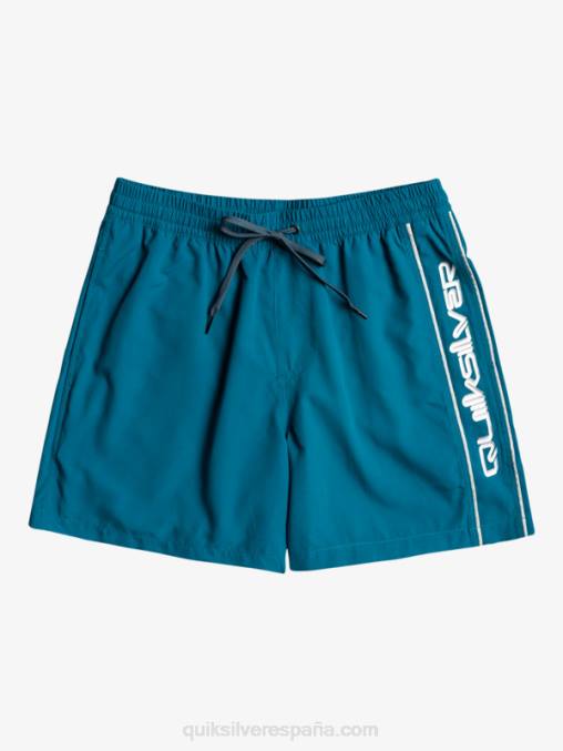 azul marroquí todos los días vert 16 voleas D6T4D701 hombres Quiksilver