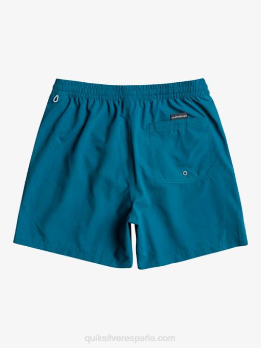 azul marroquí todos los días vert 16 voleas D6T4D701 hombres Quiksilver