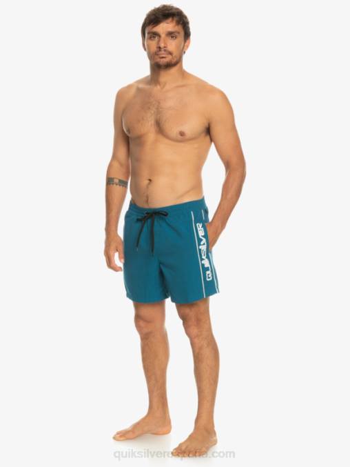 azul marroquí todos los días vert 16 voleas D6T4D701 hombres Quiksilver