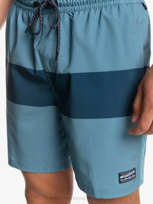azul provincial omni entrenamiento 17 pantalones cortos elásticos D6T4D1690 hombres Quiksilver