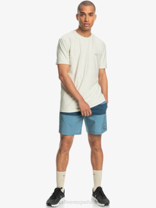 azul provincial omni entrenamiento 17 pantalones cortos elásticos D6T4D1690 hombres Quiksilver