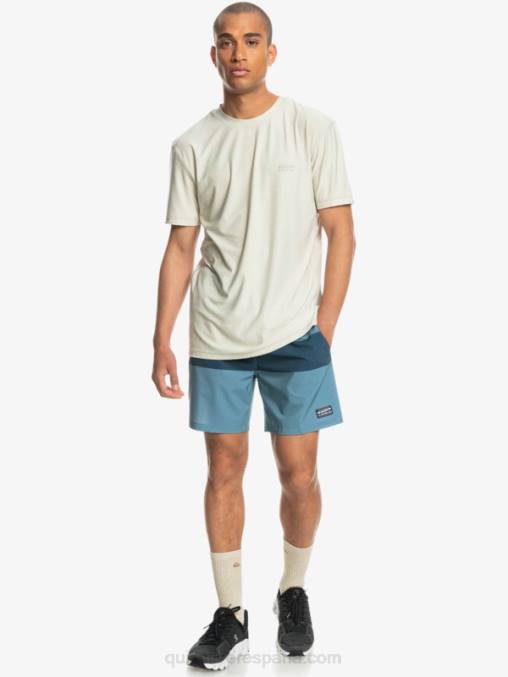 azul provincial omni entrenamiento 17 pantalones cortos elásticos D6T4D1690 hombres Quiksilver
