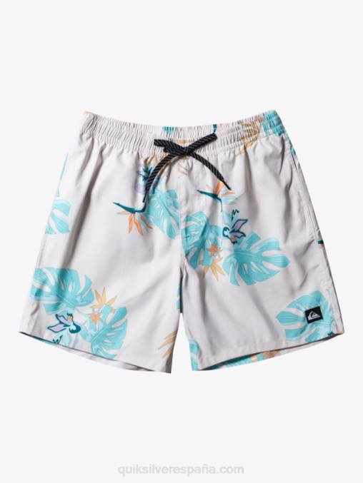 blanco mezcla todos los días 17 voleas D6T4D679 hombres Quiksilver
