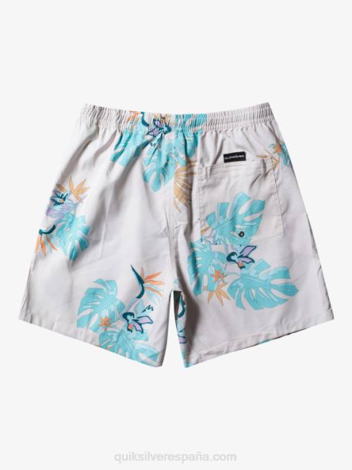 blanco mezcla todos los días 17 voleas D6T4D679 hombres Quiksilver