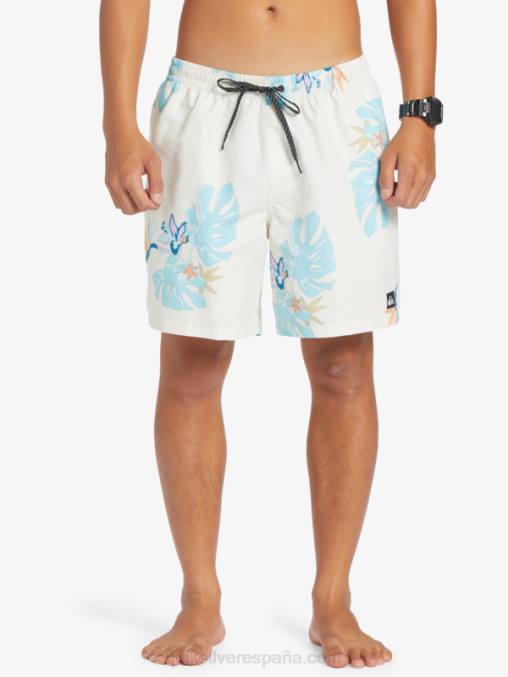 blanco mezcla todos los días 17 voleas D6T4D679 hombres Quiksilver