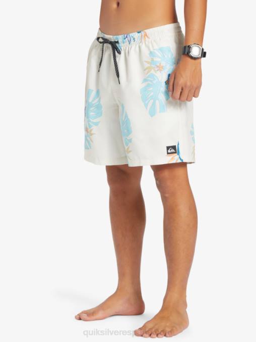 blanco mezcla todos los días 17 voleas D6T4D679 hombres Quiksilver