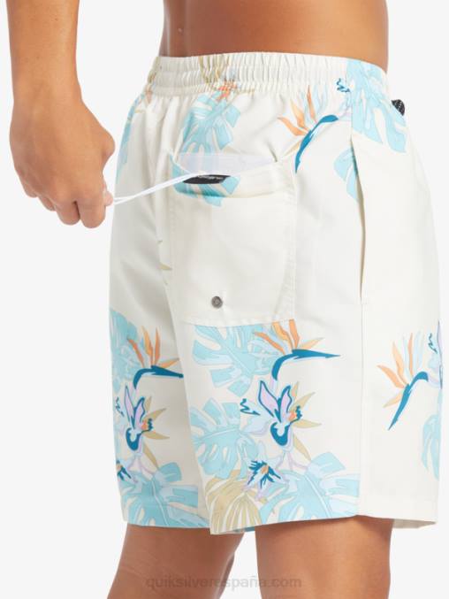 blanco mezcla todos los días 17 voleas D6T4D679 hombres Quiksilver