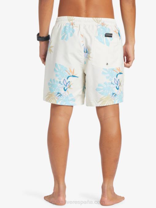 blanco mezcla todos los días 17 voleas D6T4D679 hombres Quiksilver