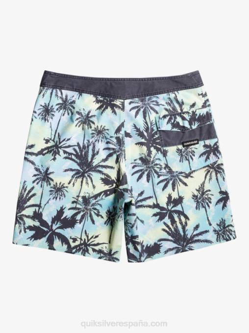 botón de oro shorts de playa surfsilk lavados 18 D6T4D1757 hombres Quiksilver