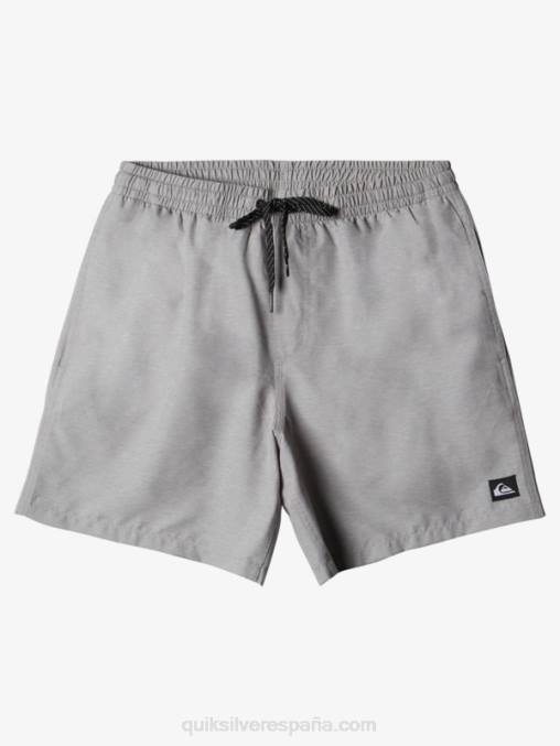 brezo aguanieve todos los días 17 voleas D6T4D629 hombres Quiksilver