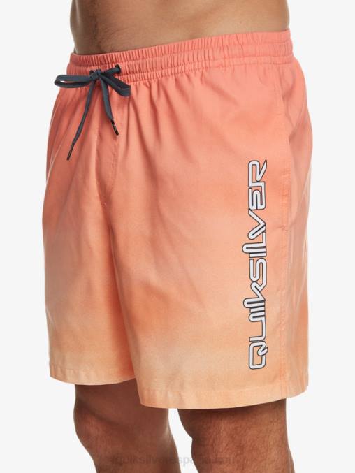 bronceado cobre brisa de todos los días 17 voleas D6T4D721 hombres Quiksilver