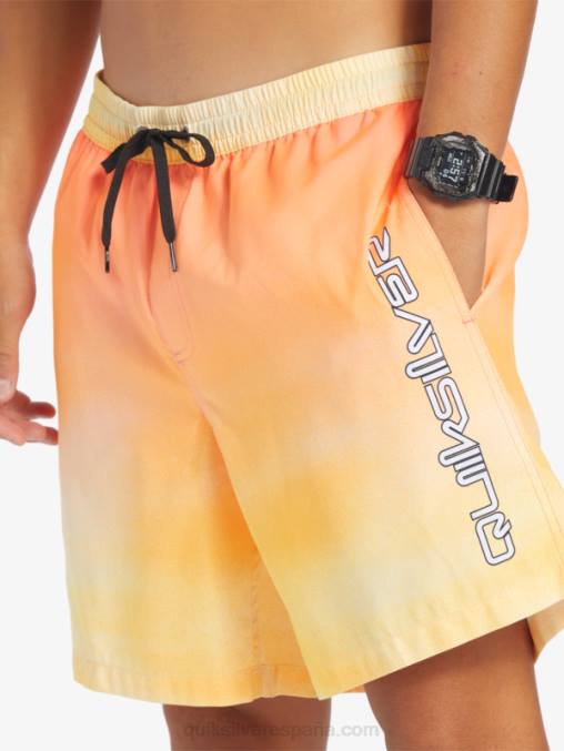 bronceado cobre brisa de todos los días 17 voleas D6T4D721 hombres Quiksilver