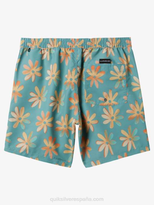 camafeo azul remezclar 17 voleas D6T4D353 hombres Quiksilver
