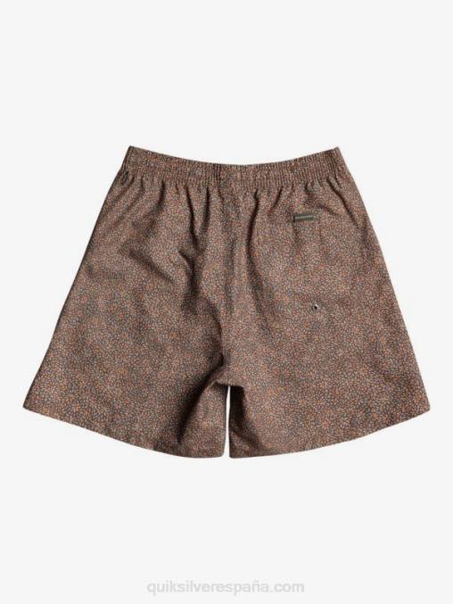 canela mini viaje 17 voleas D6T4D1531 hombres Quiksilver