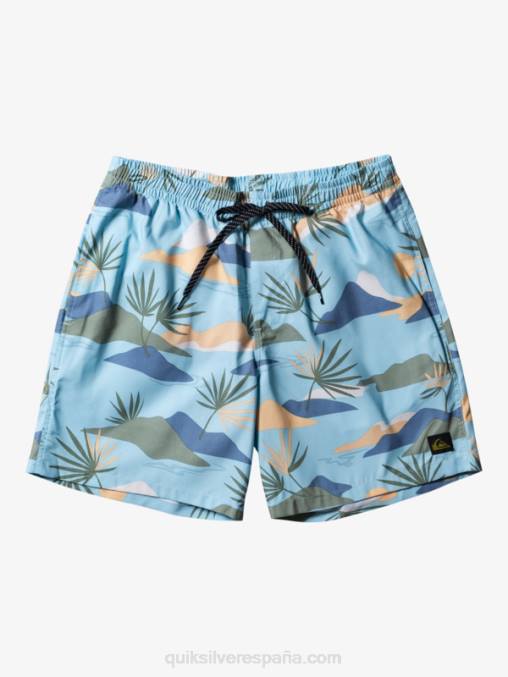 cielo azul mezcla todos los días 17 voleas D6T4D677 hombres Quiksilver
