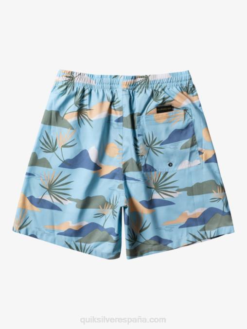 cielo azul mezcla todos los días 17 voleas D6T4D677 hombres Quiksilver