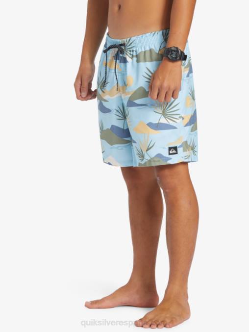 cielo azul mezcla todos los días 17 voleas D6T4D677 hombres Quiksilver