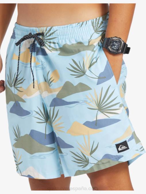 cielo azul mezcla todos los días 17 voleas D6T4D677 hombres Quiksilver