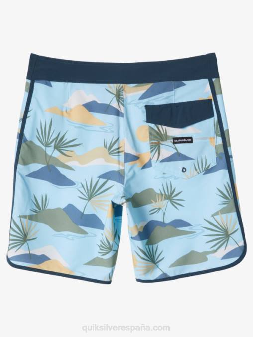 cielo azul shorts de playa surfsilk festoneado 19 D6T4D218 hombres Quiksilver