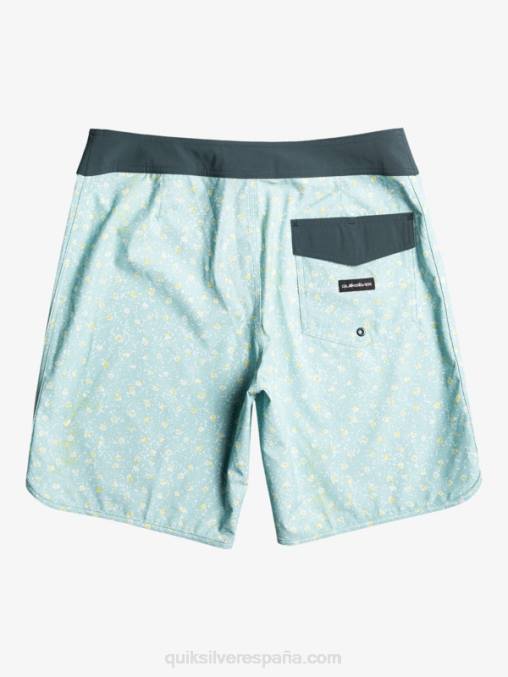 cielo azul shorts de playa surfsilk festoneado 19 D6T4D220 hombres Quiksilver