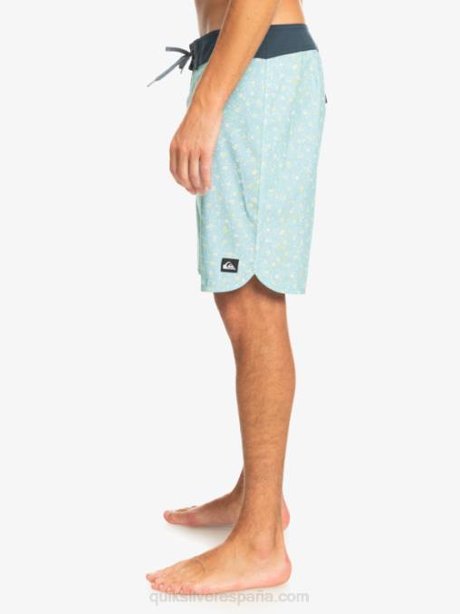 cielo azul shorts de playa surfsilk festoneado 19 D6T4D220 hombres Quiksilver