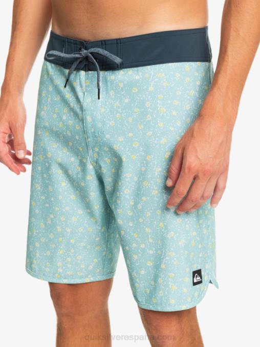 cielo azul shorts de playa surfsilk festoneado 19 D6T4D220 hombres Quiksilver
