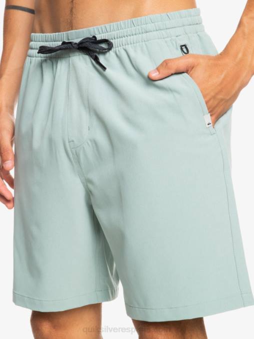 entorno verde shorts elásticos ocean 18 anfibios D6T4D352 hombres Quiksilver