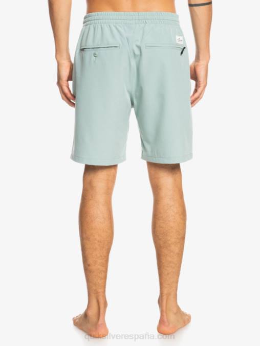 entorno verde shorts elásticos ocean 18 anfibios D6T4D352 hombres Quiksilver