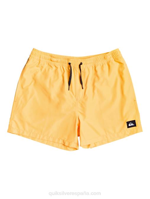 estallido de naranja todos los días 15 voleas D6T4D459 hombres Quiksilver