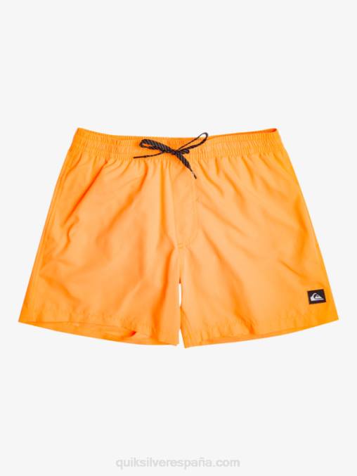 estallido de naranja todos los días 15 voleas D6T4D459 hombres Quiksilver