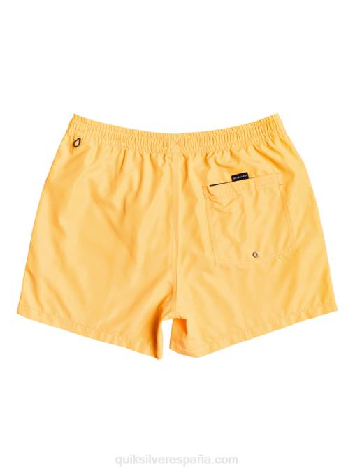 estallido de naranja todos los días 15 voleas D6T4D459 hombres Quiksilver