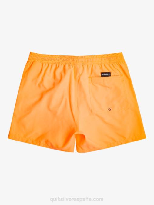 estallido de naranja todos los días 15 voleas D6T4D459 hombres Quiksilver