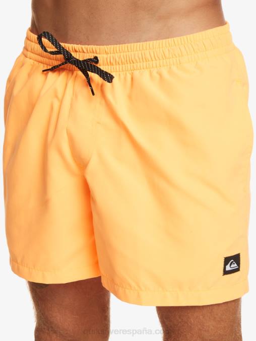 estallido de naranja todos los días 15 voleas D6T4D459 hombres Quiksilver