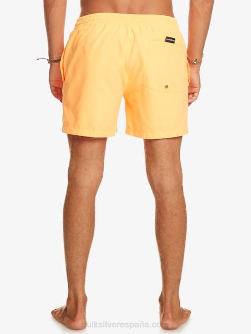 estallido de naranja todos los días 15 voleas D6T4D459 hombres Quiksilver