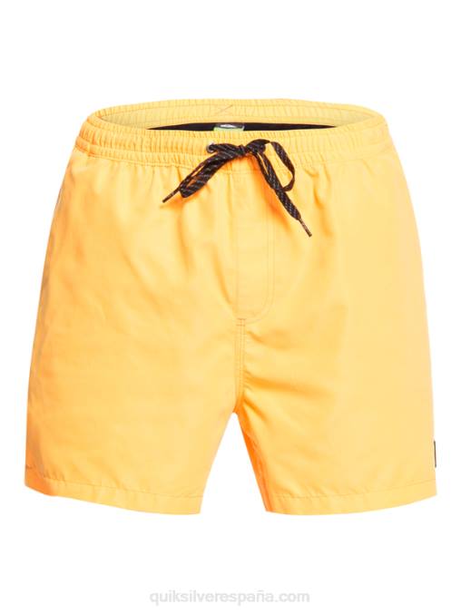 estallido de naranja todos los días 15 voleas D6T4D459 hombres Quiksilver