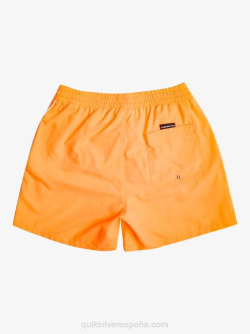 estallido de naranja todos los días vert 16 voleas D6T4D697 hombres Quiksilver