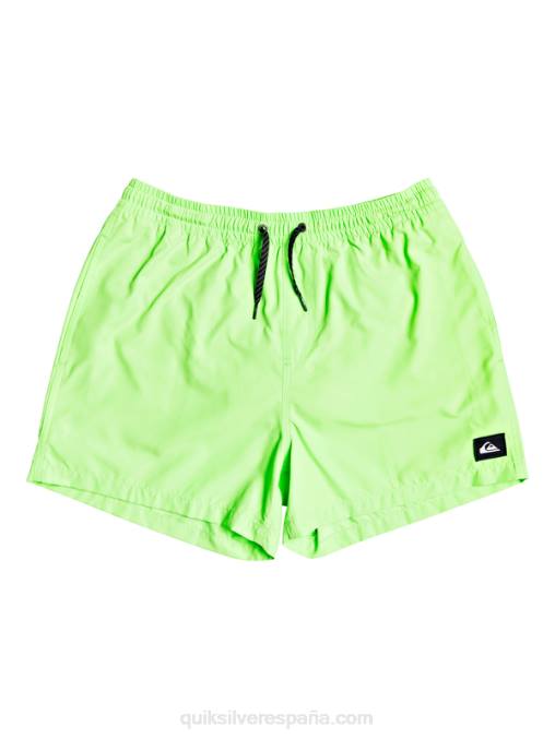 geco verde todos los días 15 voleas D6T4D460 hombres Quiksilver